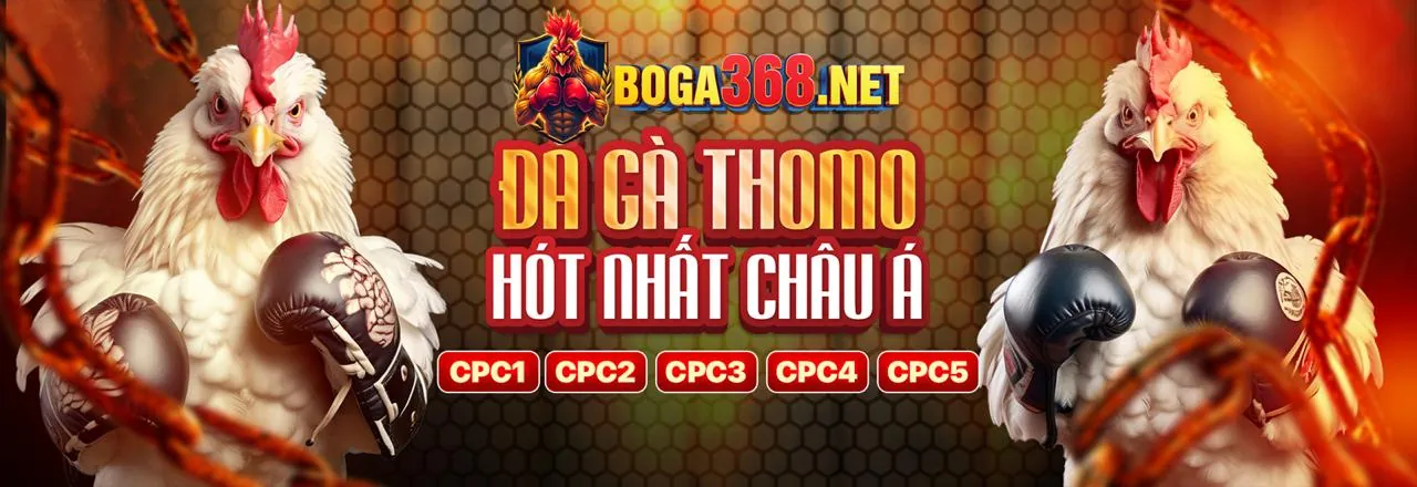 Hướng dẫn đầy đủ về chương trình khuyến mãi 88kim thể thao